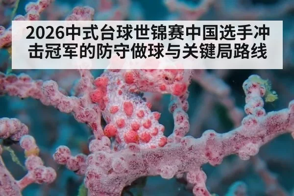 2026中式台球世锦赛中国选手冲击冠军的防守做球与关键局路线